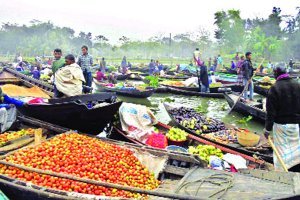 দেশের বৃহত্তম ভাসমান সবজি বাজারঃ নাজিরপুর উপজেলার বৈঠাকাটায়