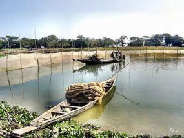 মধুমতিতে অবৈধ জাল দিয়ে নিধন হচ্ছে জাটকা সহ দেশি প্রজাতির মাছ