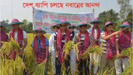 চলছে সারা দেশ ব্যাপি জাতীয় কৃষি দিবস ও নবান্ন উৎসব