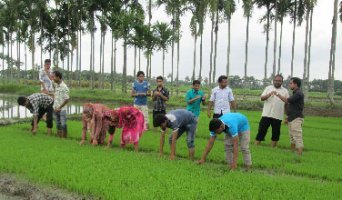 কৃষিতে চাকুরি আজ আর অসাধ্য কিছু নয়। চাকুরি ছুটছে কৃষিবিদদের পিছনে