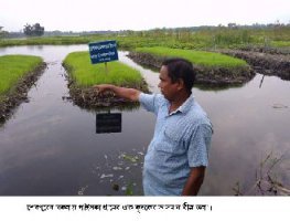 জলাশয়ে বীজতলা ও শাকসবজি উৎপাদনে ঝুঁকছেন নকলার চাষীরা