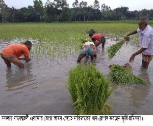 বন্যায় ক্ষতিগ্রস্থ কৃষকরা