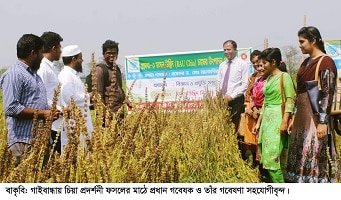 পুষ্টি নিরাপত্তায় বিশেষ অবদান রাখবে নতুন ফসল “বাউ চিয়া”