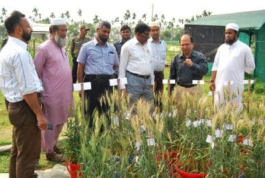 গমের ব্লাস্ট রোগের পরিচিতি, বছর ব্যাপি কার্যকারীতা ও দমন ব্যবস্থাপনা