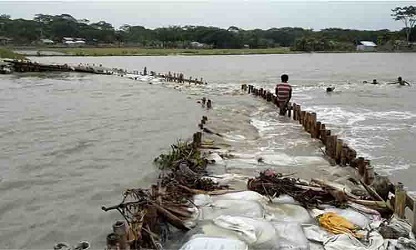 বুলবুল আতঙ্কিত উপকূলে