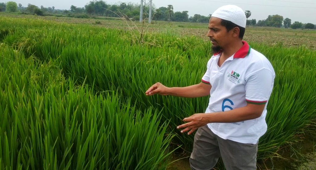 ইসলামিক কৃষি পদ্ধতি