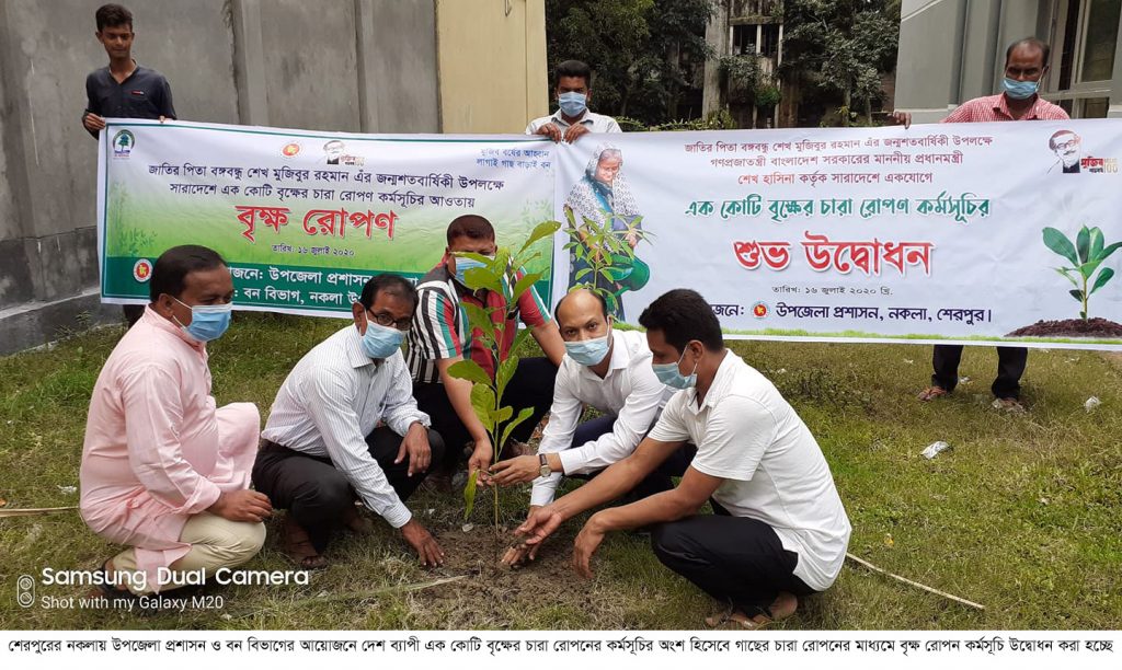 বৃক্ষরোপন কর্মসূচি