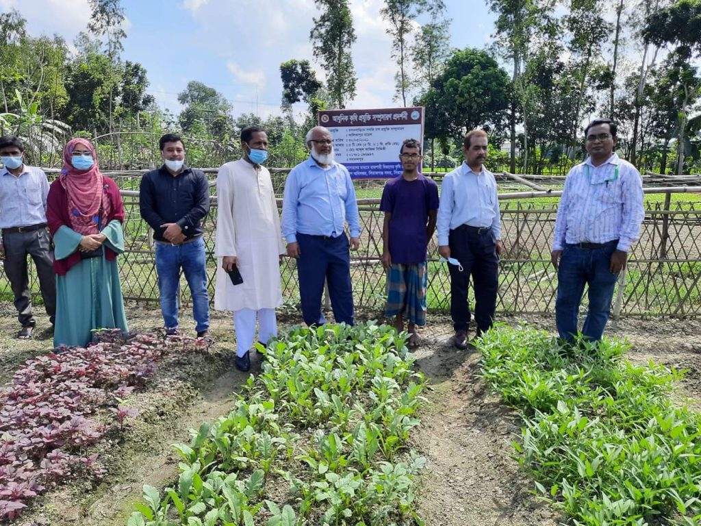 পারিবারিক পুষ্টি বাগান